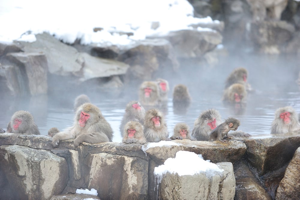 The Best of Nagano in Three Days